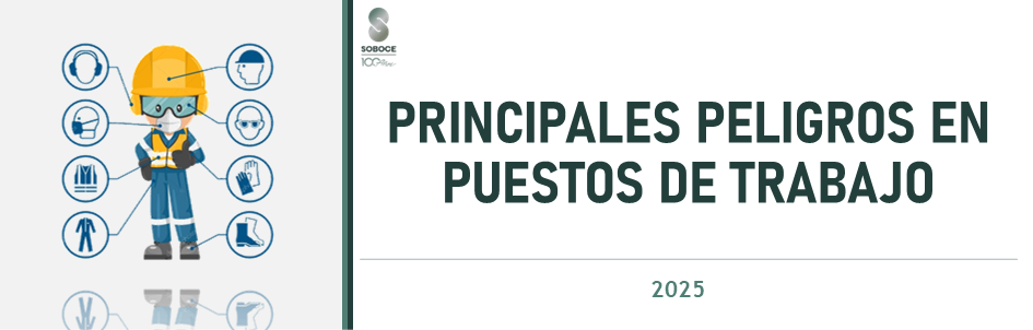 PRINCIPALES PELIGROS EN PUESTOS DE TRABAJO - 2025.V2